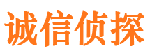 金城江市私人调查